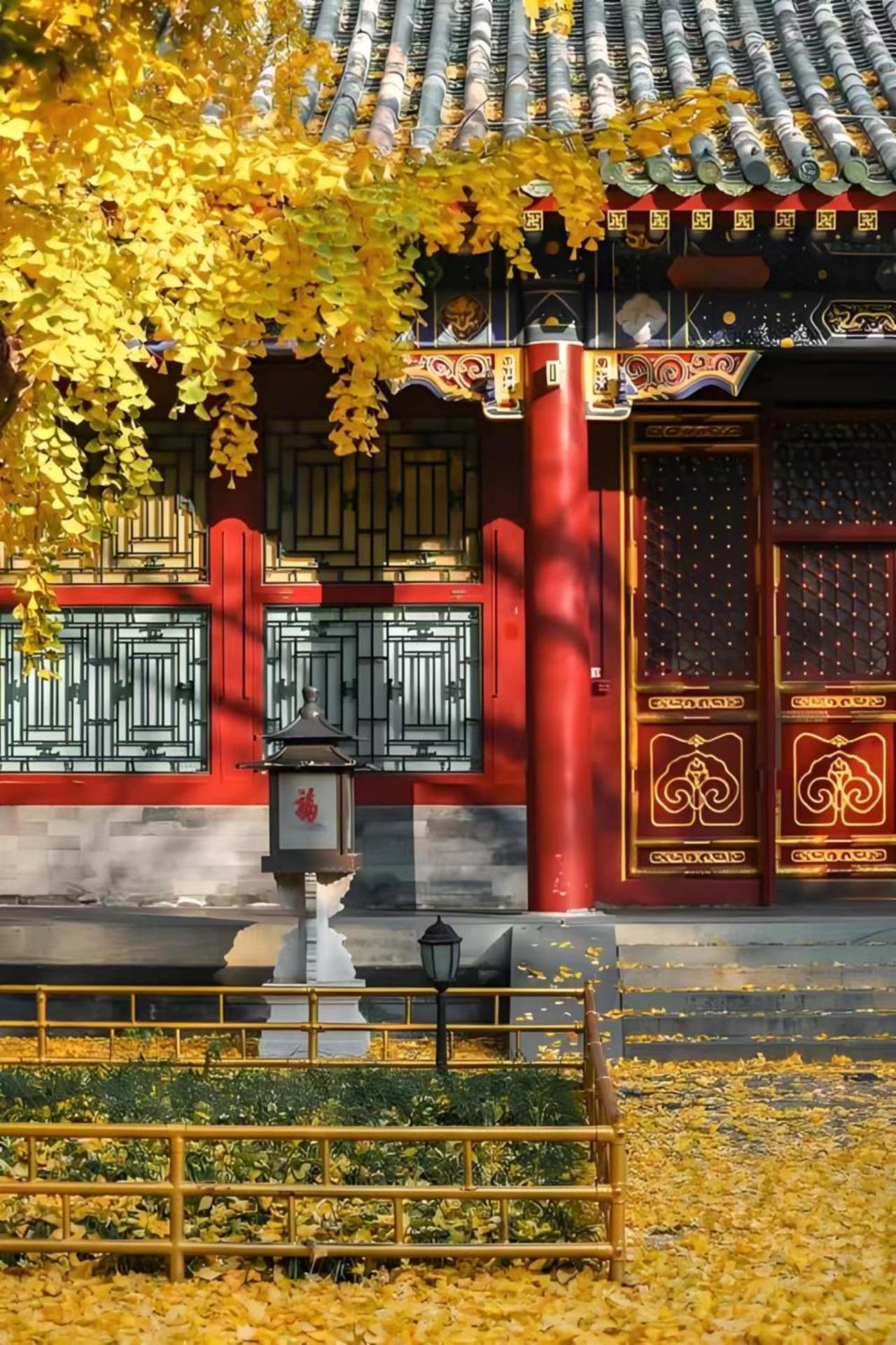 Beijing Tangfu Hotel - Located In The City Center Adjacent To The Subway Station Close To Nanluoguxiang Gulou Lama Temple Tiananmen Square Forbidden City Temple Of Heaven Providing Laundry Car Rental And Ticketing Services Eksteriør bilde
